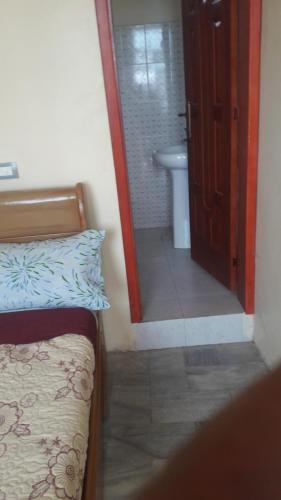 亚的斯亚贝巴Birhan Villa的一间卧室配有一张床,浴室设有水槽