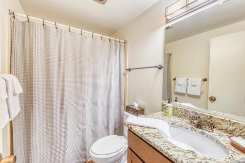 斯廷博特斯普林斯Emerald Views at the West的一间带水槽、卫生间和淋浴的浴室