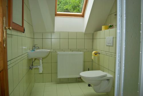 别洛赫拉德矿泉村杨维斯基穆林旅馆的一间带卫生间和水槽的浴室