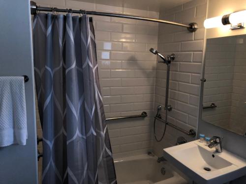阿米莉亚岛The Surf Beach Motel的浴室配有淋浴帘和盥洗盆。