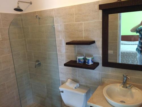 苏莎亚新园酒店的带淋浴、卫生间和盥洗盆的浴室