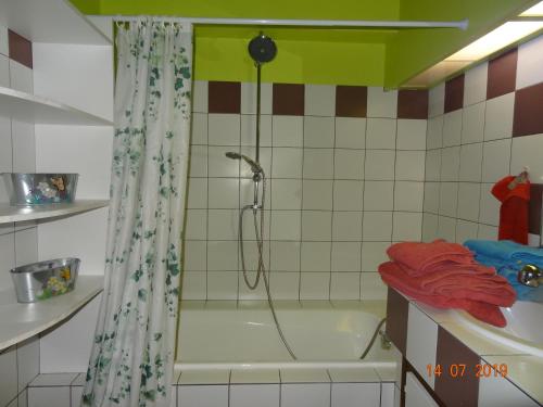 米卢斯LE KATZALA的带淋浴和浴缸的浴室