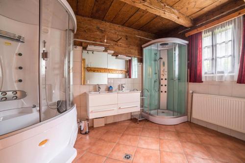 Ebene ReichenauObervostlhaus - Sehr schöne gemütliche Almhütte der besonderen Art的带淋浴和盥洗盆的大浴室