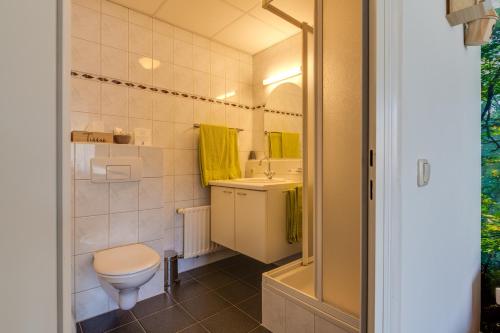 HaarloHCR王子酒店的一间带卫生间和水槽的浴室