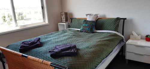 PalmviewHampton Homestay的一间卧室配有一张带绿床单和枕头的床。
