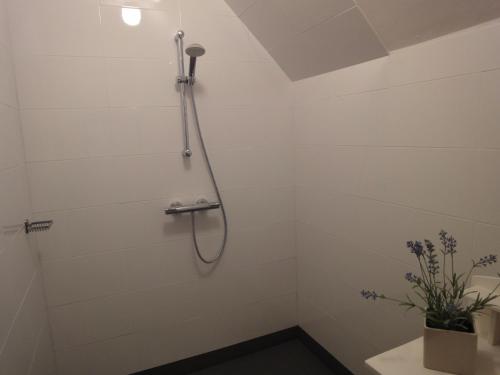 哈林亨Riethove的白色瓷砖浴室内的淋浴