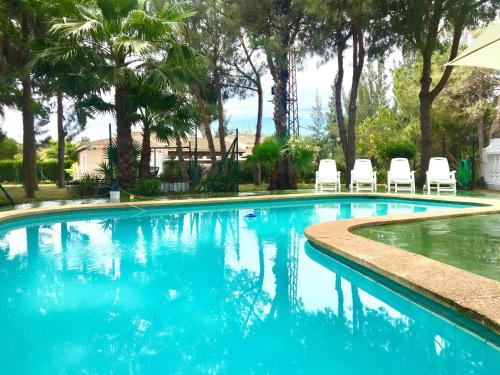 厄尔-汝姆披多Villa Miranda的一个带椅子的游泳池,棕榈树
