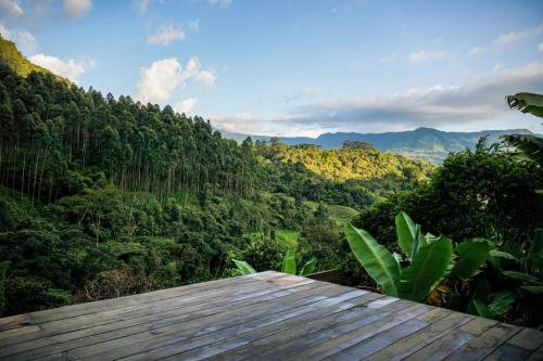 Creo Ecolodge Jardín