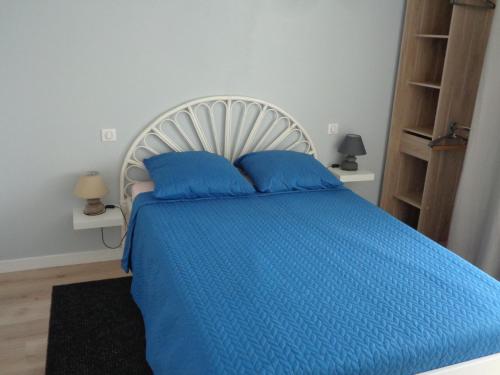 圣艾蒂安Appartement indépendant LE PANASSA, Centre ville, Garage privé的一间卧室配有蓝色的床和2个蓝色枕头