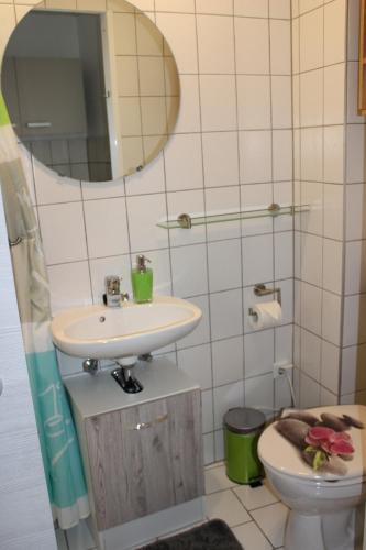 维尔茨堡Ferienwohnung Würzburg/Heidingsfeld的一间带水槽、卫生间和镜子的浴室