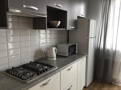 利沃夫Scandinavian apartment的厨房配有炉灶和冰箱。