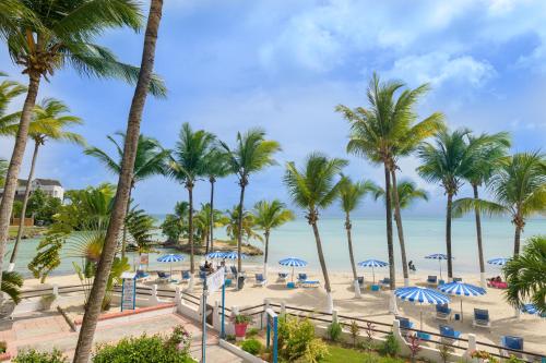 哥西尔卡内拉海滩酒店 的棕榈树海滩和海洋