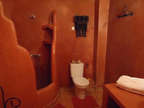 马拉喀什Riad Aldiana的一间带卫生间和淋浴的小浴室