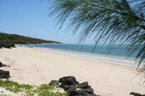 Rodrigues Island巴库瓦山林小屋的棕榈树和海洋的海滩