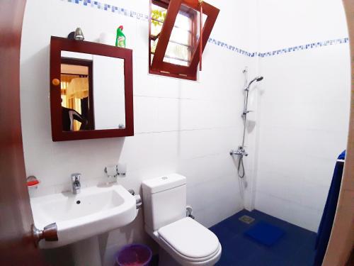 阿鲁特伽马Villa Bentota River View的一间带水槽、卫生间和镜子的浴室