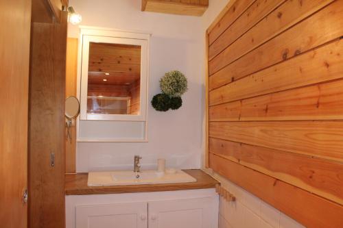 布拉干萨Serapicos House的一间带水槽和木墙的浴室