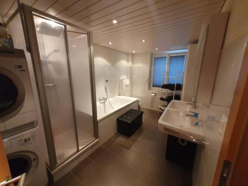 阿尔邦3 Doppelbett Business Apartment am Bodensee的带淋浴、盥洗盆和浴缸的浴室