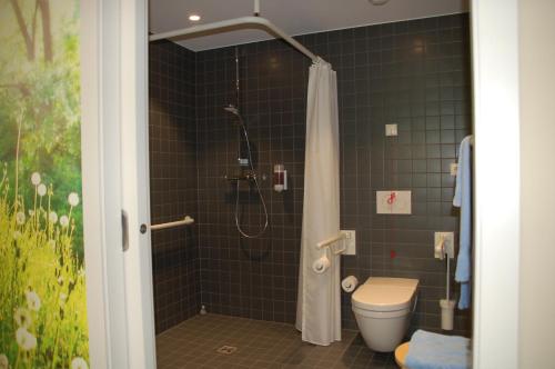 UseldangePéitche Lauer的带淋浴和卫生间的浴室
