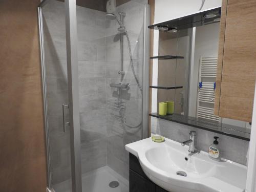 贝桑松Appartement hyper centre ville au calme的带淋浴、盥洗盆和镜子的浴室
