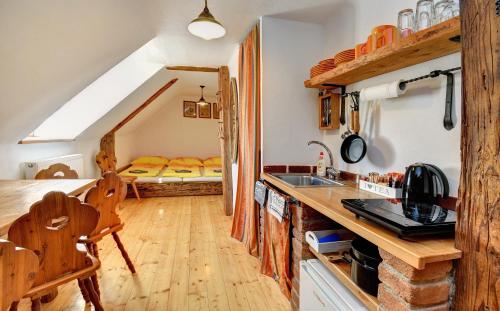 普拉哈季采Apartmán u Brány的一个带水槽和桌子的厨房