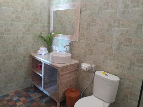 蓝梦岛Lebaoh Nusa Cottage的一间带卫生间、水槽和镜子的浴室