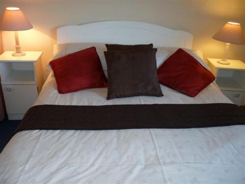 Castlerea阿姆卡希尔住宿加早餐旅馆的一张带红色和黑色枕头的床