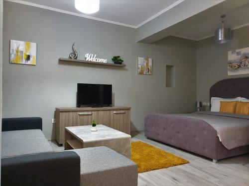 蒂米什瓦拉Irina Apartments的一间卧室配有一张床、一张沙发和一台电视。