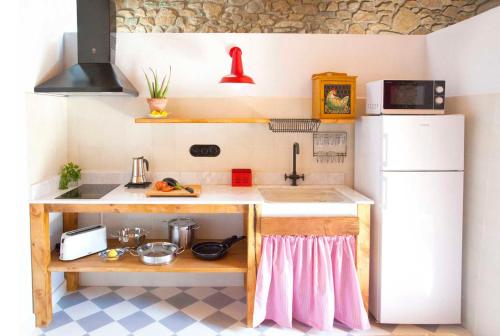 ArsèguelEl Mas de Sant Vicenç - apartamentos rurales的一间带水槽和冰箱的小厨房