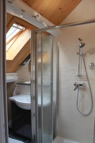 Huisseau-sur-CossonManoir le Bout du Pont的带淋浴和盥洗盆的浴室
