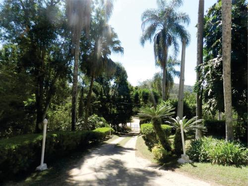 伊比乌纳Hotel Fazenda Bandeirantes的种有棕榈树和土路的花园