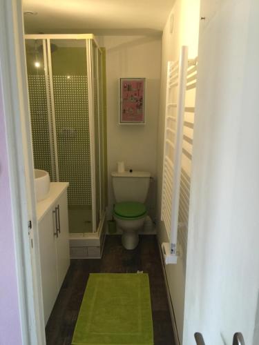 EsnandesLe Petit Nid Cosy的浴室配有卫生间、盥洗盆和淋浴。