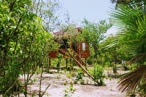 Palmento Grove Garifuna Eco-Cultural & Healing Institute的儿童游玩区