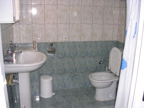 阿依弗西亚Stefanos Apartments的一间带水槽和卫生间的浴室