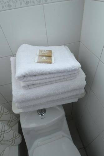 维纳德马Dptos Castelar的浴室厕所上方的毛巾堆