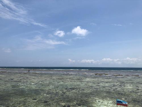 Pulau Mabul 领域潜水员水肺潜水和休闲旅馆的相册照片