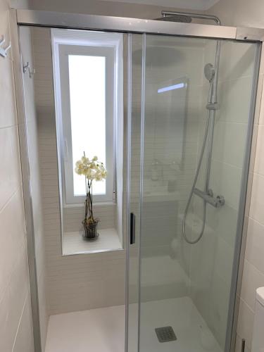 拉奥罗塔瓦Apartamento Tahoro的带窗户的浴室内的玻璃淋浴间