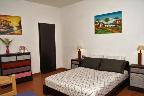 塔那那利佛Villa Mahefa - WIFI - Canal Plus - Terrasse & Jardin的一间卧室配有一张床和一个梳妆台