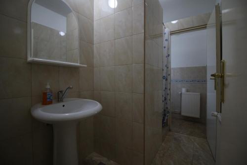 阿莱克西纳茨Hostel Teresianum的浴室配有水槽和带水槽的淋浴