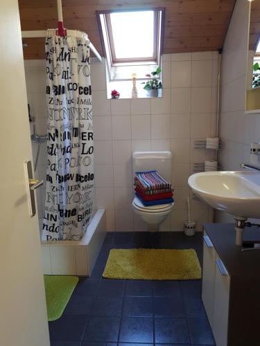 LeuzigenApartment Dorfstrasse 16的一间带水槽和卫生间的浴室以及窗户。