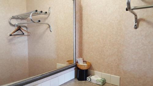 加洛韦中庭套房酒店的带淋浴的浴室,内有篮子