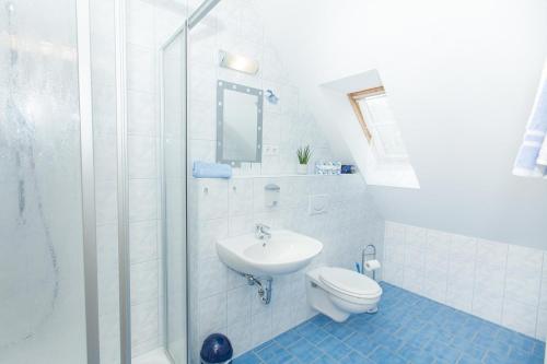 维森特海德Steigerwaldpension的浴室配有卫生间、盥洗盆和淋浴。