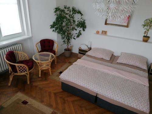 扎泰茨Penzion Flóra的一间卧室配有一张床和两把椅子