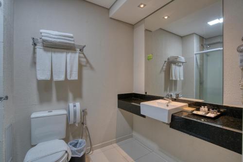 伊瓜苏比亚莱托尔酒店的一间带水槽、卫生间和镜子的浴室