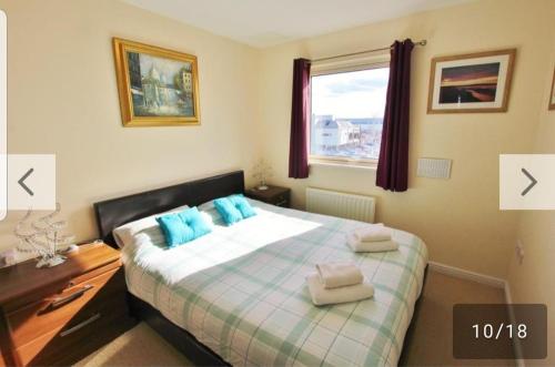 浦耳island reach的一间卧室配有一张带蓝色枕头的床和一扇窗户。