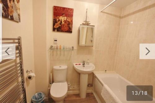浦耳island reach的浴室配有卫生间、盥洗盆和浴缸。