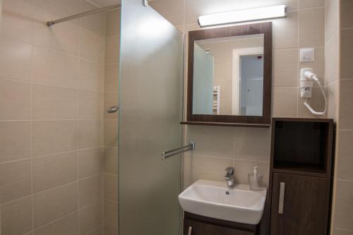 埃格尔Mecset Apartman的浴室配有盥洗盆和带镜子的淋浴
