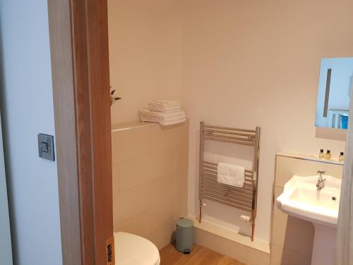 福尔博帕德莱辛住宿加早餐旅馆的浴室配有白色卫生间和盥洗盆。