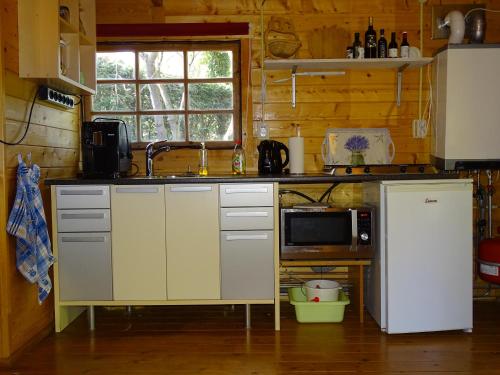 ZeyenB&B Zeijen的厨房配有冰箱和微波炉。
