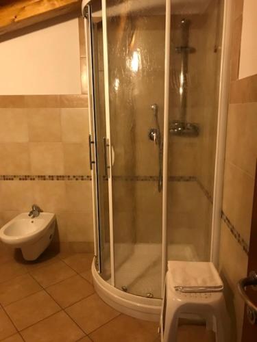 LuniAlbergo Antica Luni的带淋浴、卫生间和盥洗盆的浴室