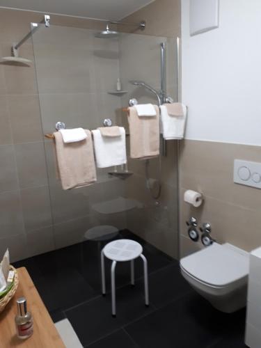 巴特塞京根Bad Säckingen - Sie werden sich hier wohlfühlen的浴室设有卫生间和带毛巾的淋浴。
